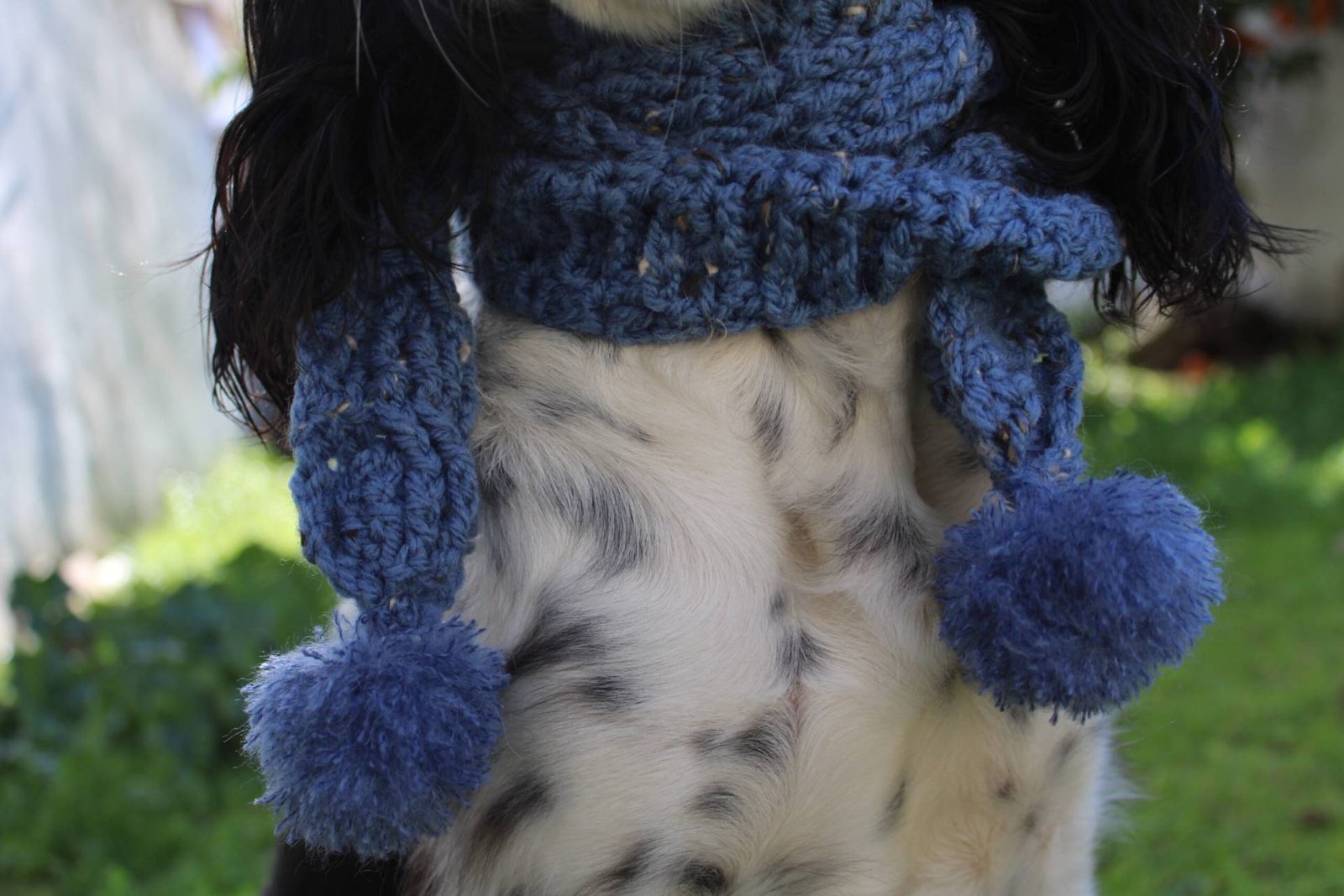 Home IMG 0736 Scaled