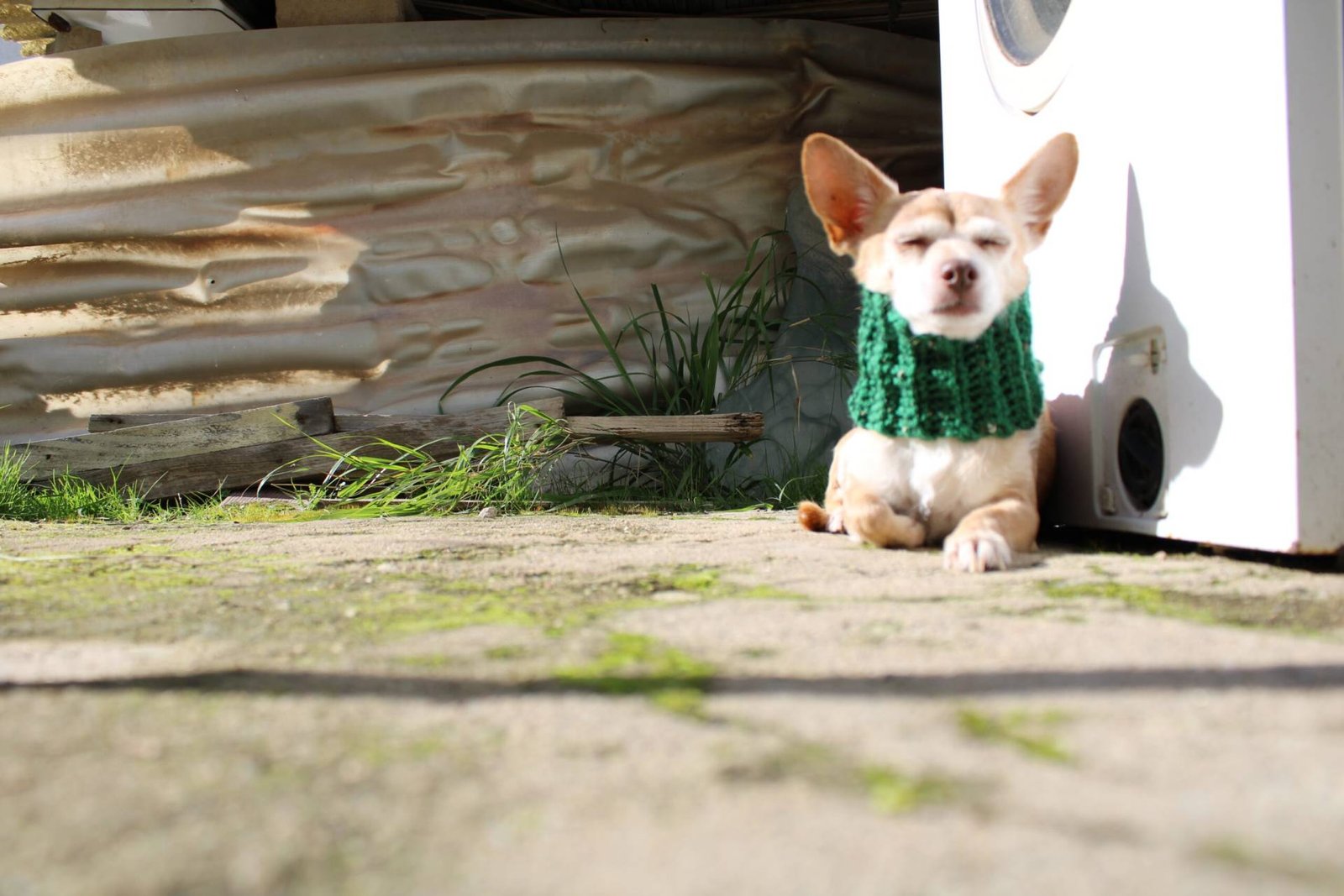 Home IMG 0816 Scaled