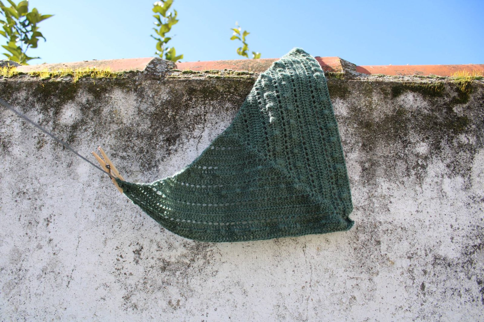 Home IMG 0882 Scaled