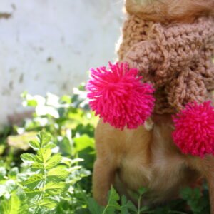 bufanda pompink